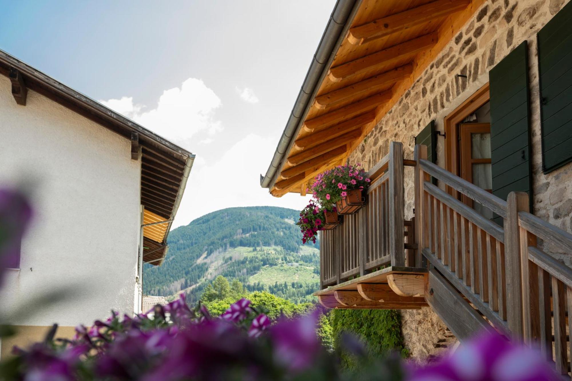 B&B Le Molinare Home Relax Varda Esterno foto